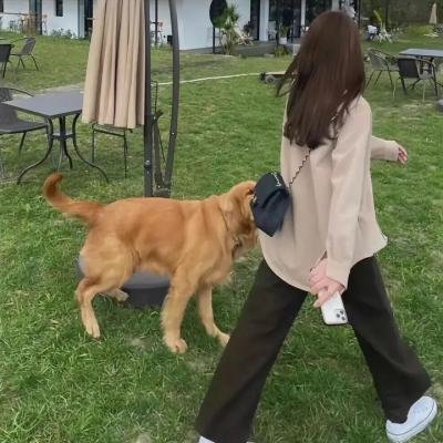 横越生死线